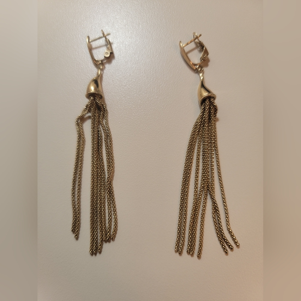 Macys tassel earrings